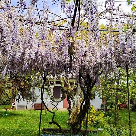 Casetta In Collina Sezze ภายนอก รูปภาพ