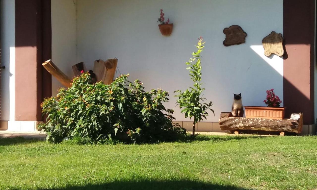 Casetta In Collina Sezze ภายนอก รูปภาพ