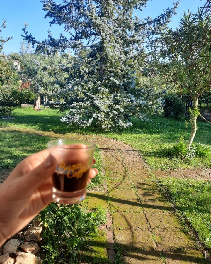 Casetta In Collina Sezze ภายนอก รูปภาพ