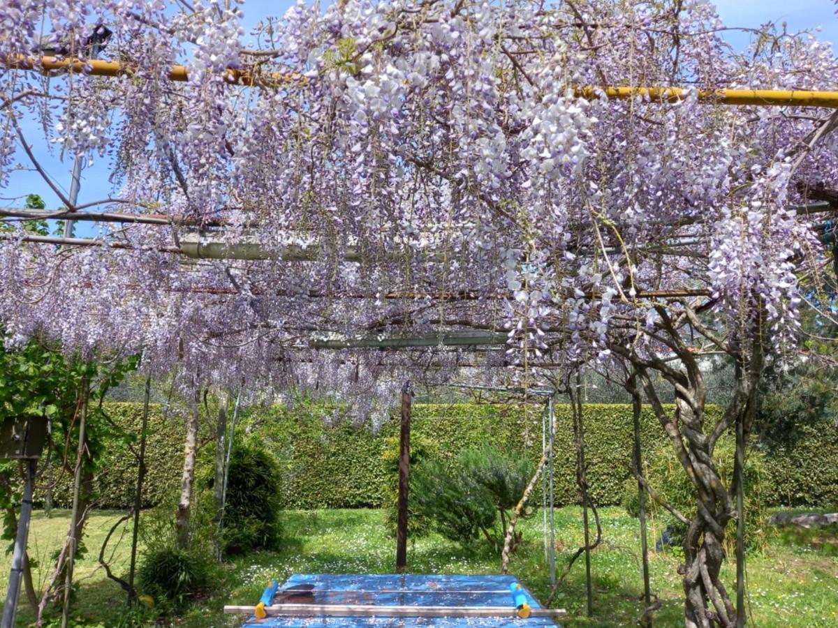 Casetta In Collina Sezze ภายนอก รูปภาพ