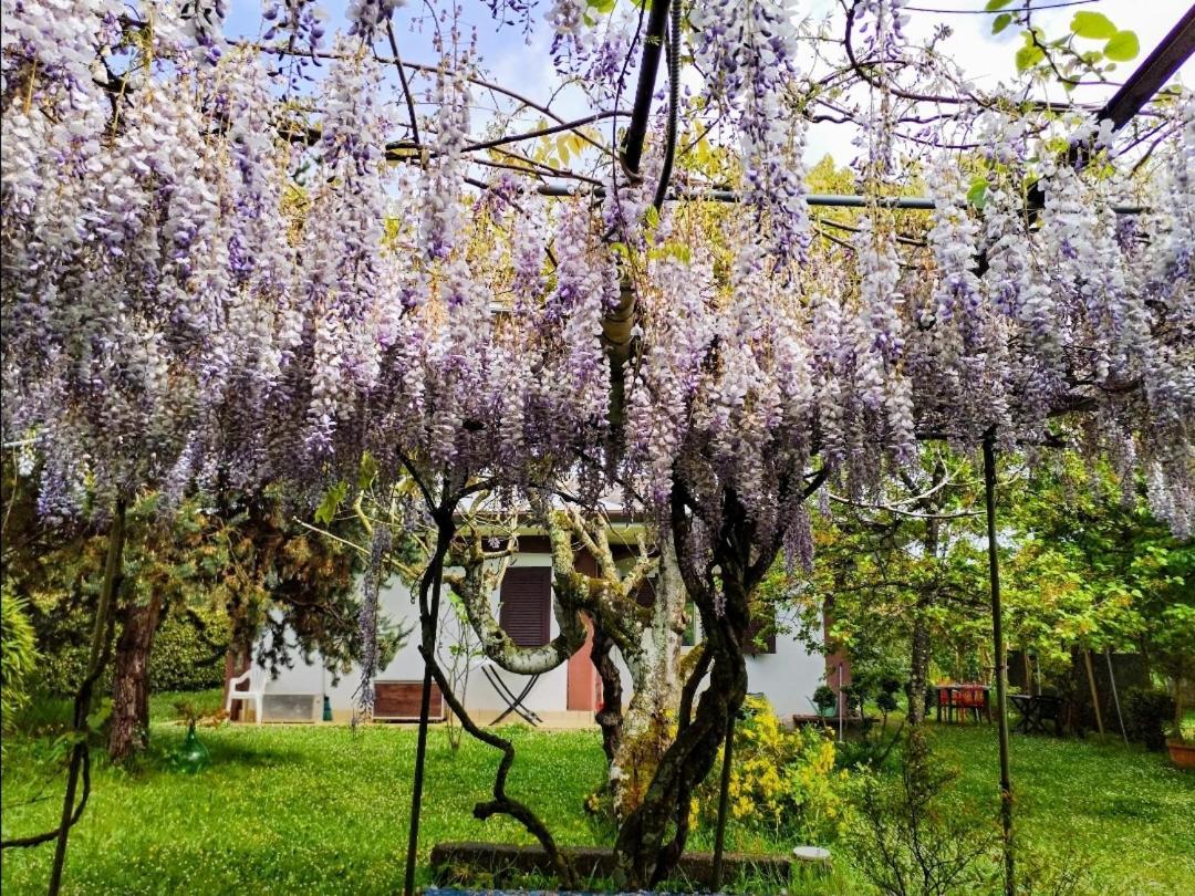 Casetta In Collina Sezze ภายนอก รูปภาพ